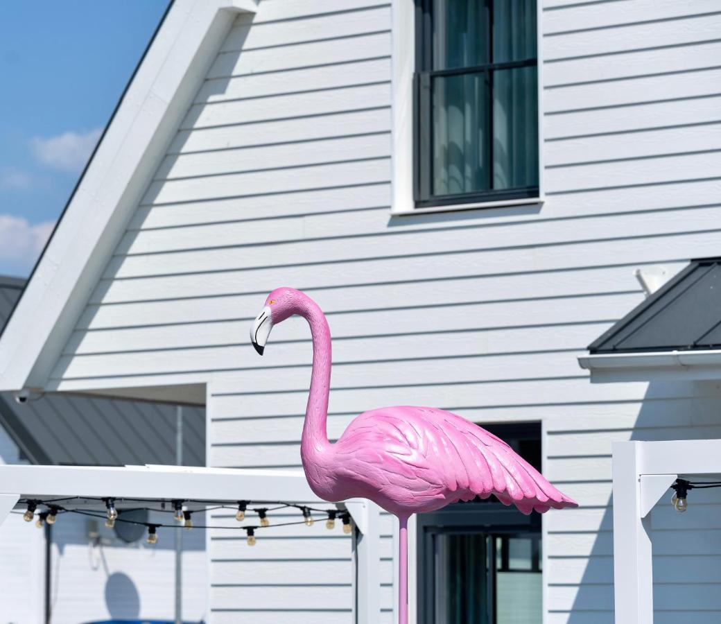 Flamingo Residence Apart HotelDziwnów エクステリア 写真